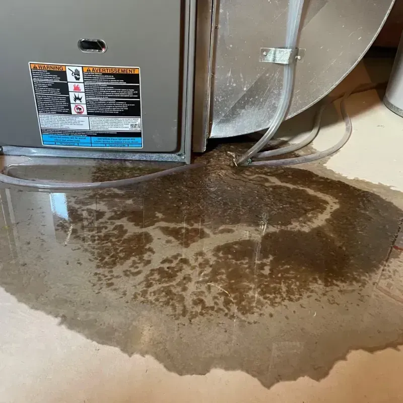 Appliance Leak Cleanup in Vinton, VA